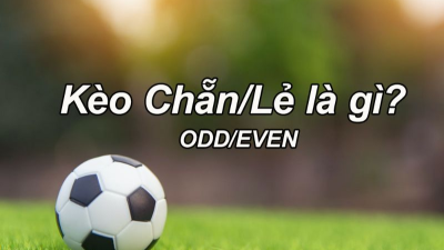 6686vn.bet - Hướng dẫn cách chơi kèo cược Châu  u trên 6686 bet