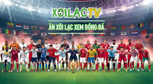 Xoilac TV - Xem bóng đá với kênh hàng đầu Xoilac-tv.media